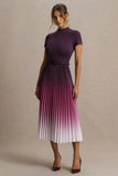 Libby Burgundy Ombre Woven High Neck Midi Dress With Pleated Detailing