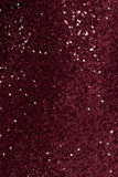 Kaelin Berry Sequin Plunge Neck Maxi Dress