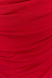 Amandine Ruched Slinky Maxi Dress Ruby