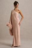 Armina Blush Pink One Shoulder Feather Trim Maxi Dress