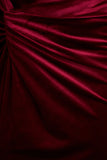 Fay Berry Velvet Corset Style Knot Maxi Dress