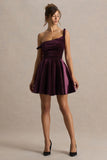 Leticia Burgundy Velvet Asymmetric Neck Velvet Mini Dress With Twist Sleeve