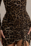 Aphrodite Leopard Print Asymmetric Ruched Side Mini Dress
