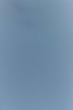 Katalina Chiffon Maxi Skirt Sky Blue