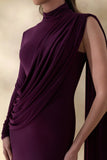 Oliria Dark Plum High Neck Maxi Dress With One Long Sleeve And Sash Detail