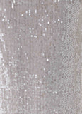 Susie Sequin Maxi Skirt Silver