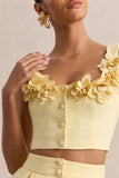 Caprielle Lemon Scoop Neck Crop Top With Corsage Detailing