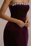 Naia Port Velvet Embellished Bandeau Mini Dress