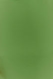 Wynter Scarf Draped Mini Dress Green