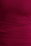 Zaya Burgundy Long Sleeve Mini Dress With Drape