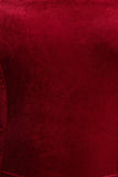 Arcane Burgundy Velvet Bandeau Jumpsuit With Scarf