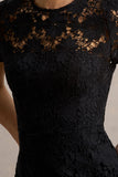 Clarissa Black Lace Short Sleeve Midi Dress