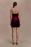 Paulina Velvet Strapless Mini Dress Wine