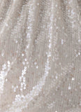 Willow Sequin Top Silver