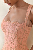 Orelisse Coral Lace Square Neck Mini Dress