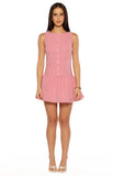 Jordyn Red Gingham Mini dress
