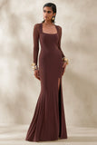 Renalia Brown Square Neck Maxi Dress With Mesh Long Sleeves