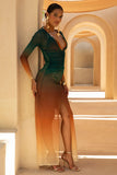Serafia Ombre Print Mesh Long Sleeve Cover Up