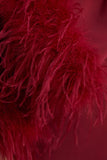 Adella Burgundy Satin Feather Trim Maxi Dress
