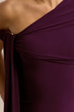 Praia Plum Asymmetric Neck Midi Dress With Sash and Draped Detailing