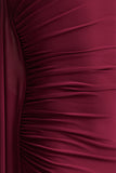 Adelina Burgundy One Shoulder Maxi Dress With Drape