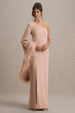 Armina Blush Pink One Shoulder Feather Trim Maxi Dress