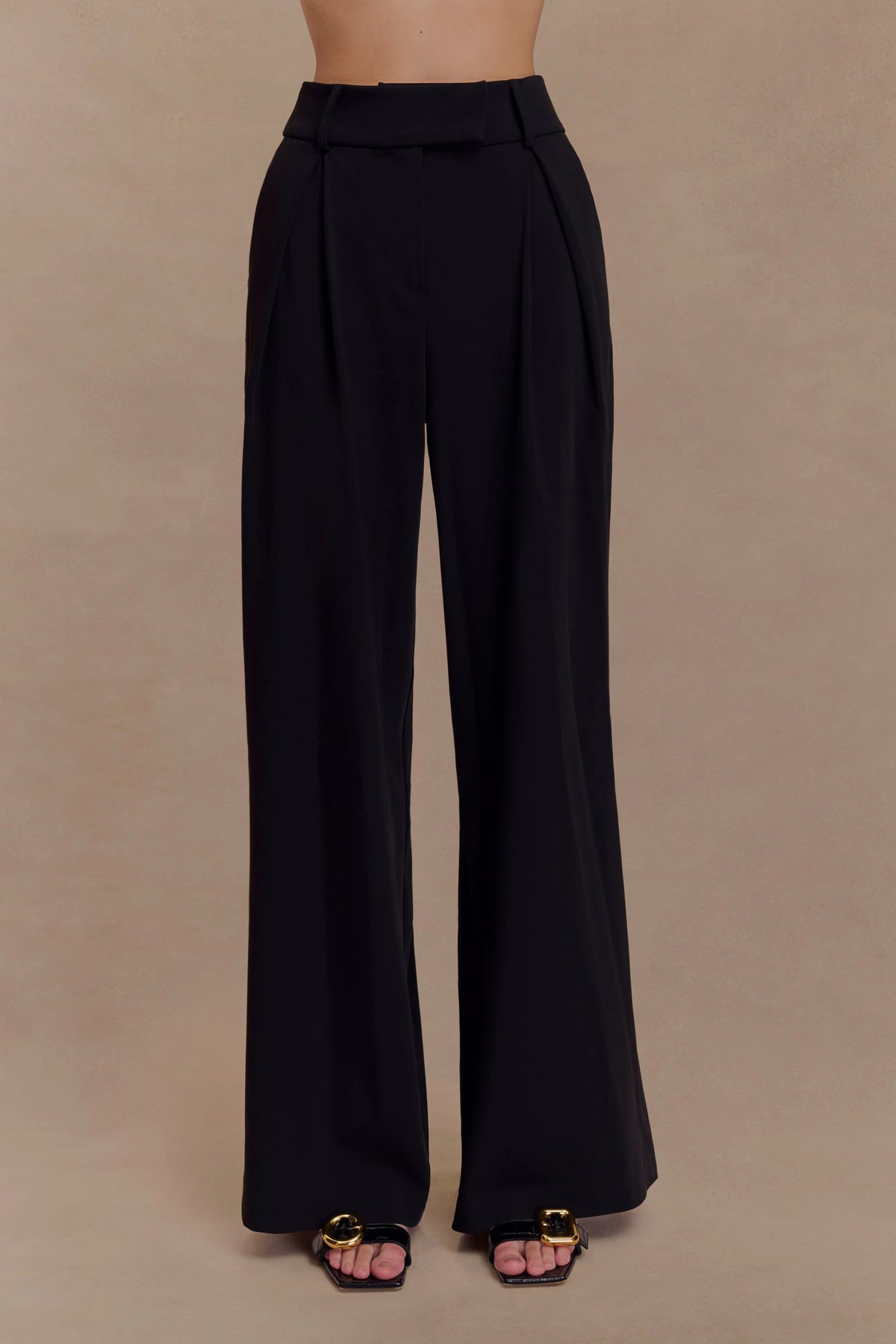 Jacqueline Pleated Wide Leg Pants Black