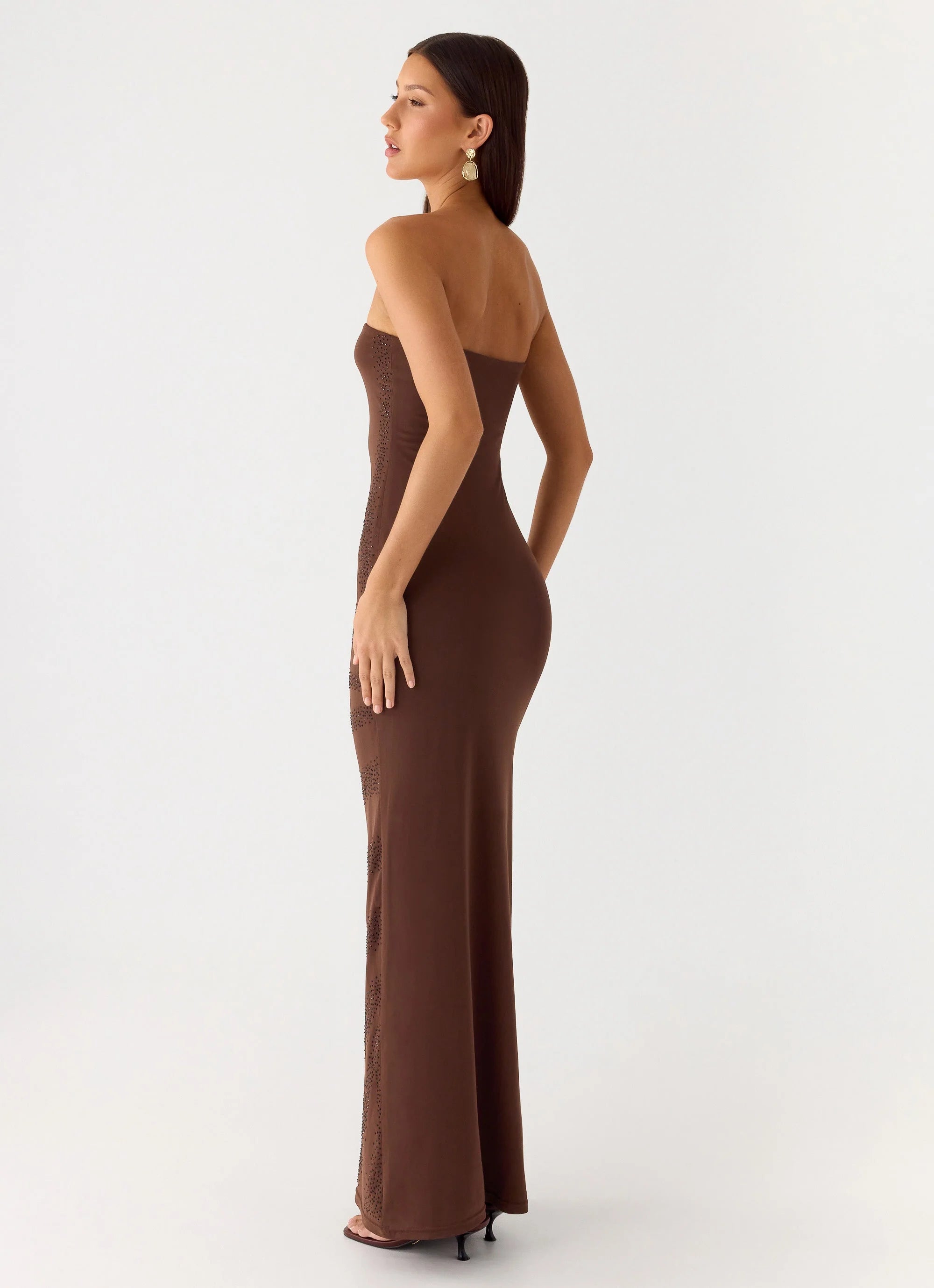 Belisse Beaded Mesh Maxi Dress Chocolate
