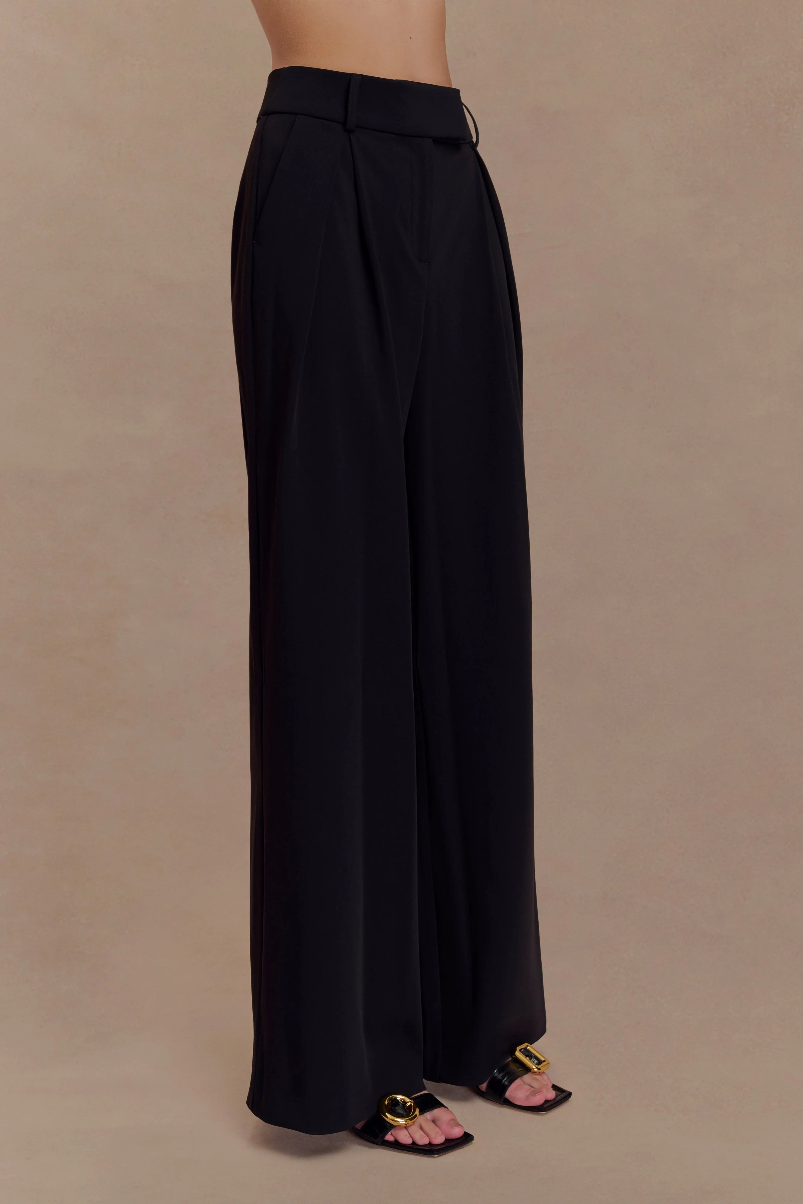 Jacqueline Pleated Wide Leg Pants Black